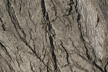 texture