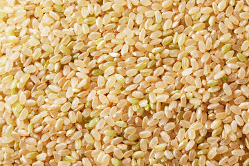 玄米　Brown rice