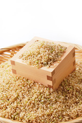 玄米　Brown rice