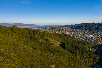 Obraz premium Wide View Of Wellington City, Karori and Lyall Bay in Distance 