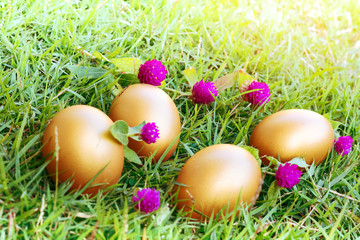 Easter egg ! happy colorful Easter sunday hunt holiday decorations Easter concept backgrounds