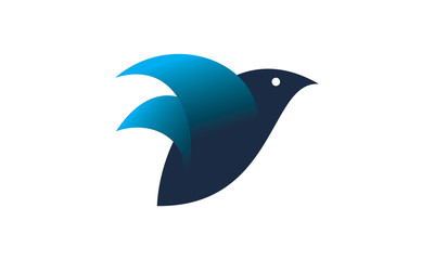 bird eye logo