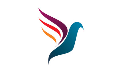 color wing bird logo