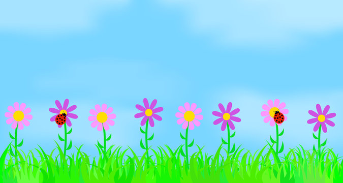 Flowers on the background of the sky.