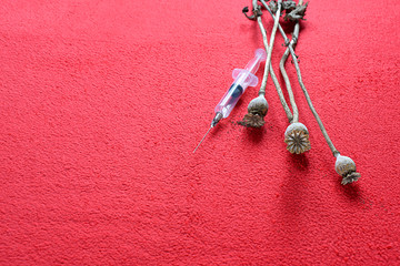 Poppy seed pods and a disposable syringe.
