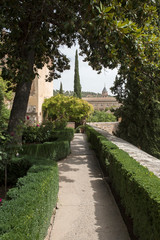 Fototapeta na wymiar Amazing Alhambra Palace Architectural Beauty