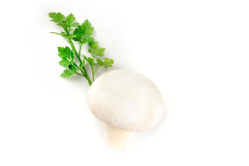 A photo of a champignon mushroom with vibrant green parsley leaves on a white background