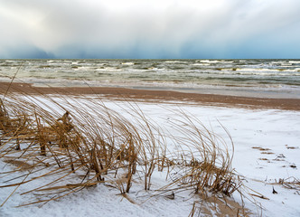 View to the Baltic sea coast.