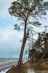 Obraz na płótnie Canvas Baltic sea coastline.