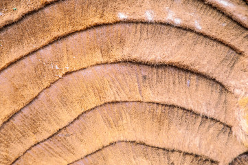 Camel hair style texture 