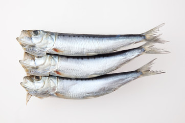 　いわしの丸干し