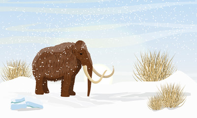 Big woolly mammoth on a plain covered with snow. Dry frozen grass. Prehistory animals. Ice Age. Extinct animals of Siberia, Eurasia and North America. Realistic Vector Landscape