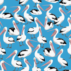 Seamless pattern. Pelicans in different poses on a blue background. Realistic vector illustration.