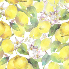 Hand painted watercolor illustration. seamless pattern with lemon tree branch elements. 