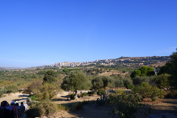 アグリジェント