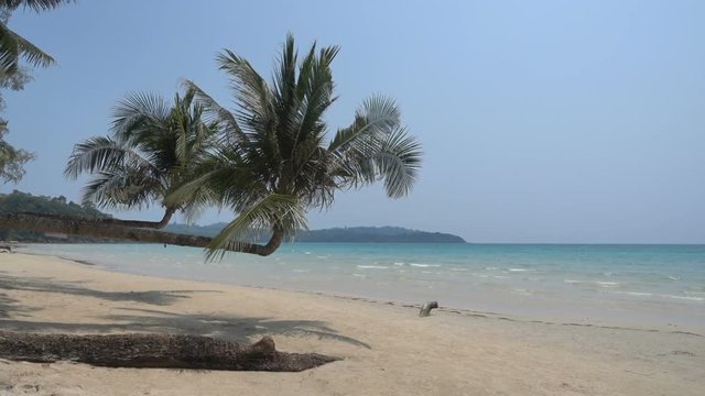 Palm trees jut out in unusual angles over a white sandy beach.