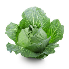 Obraz premium Сabbage