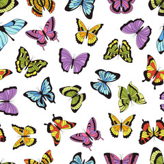 Butterfly seamless pattern. Floral garden print, seamless graphic background with butterflies and flowers. Vector hand drawn sweet insects