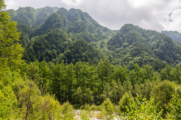 Obraz premium River and Summer Forest Landscape,Pathway at Kamikochi in Japan