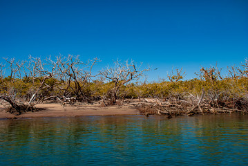 The lagoon at Adolfo Lopez Mateos in Baja California where grey whales come every year to give birth to their young.