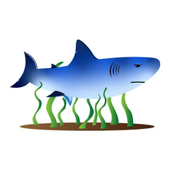 Cartoon shark at the bottom of the ocean among the algae. Illustration, vector.