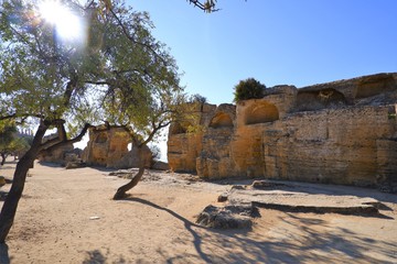 アグリジェント