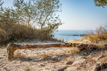 traumhafter, leerer Ostssestrand auf der Insel Rügen bei Thiessow, 