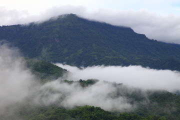 Mist flowing over the mountain of tropical rainforest in rainy season