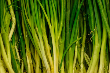 Spring onions