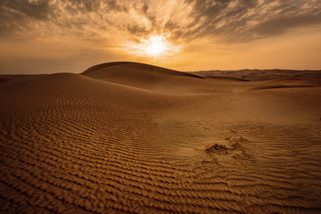 Fototapeta na wymiar Desert landscape during sunset.