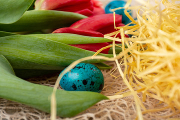Easter eggs in the nest
