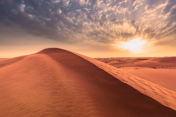 Obraz na płótnie Canvas Desert landscape during sunset.