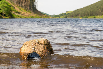 A stone washed out from Llyn Geirionydd near Llanwrst, Conwy, Wales, UK
