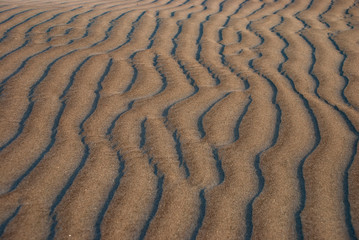 The late afternoon sun casts shadows across the sand dunes at Adolfo Lopez Mateos in Baja California, Mexico