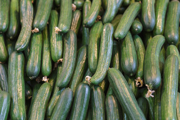 cucumbers on the counter in the store