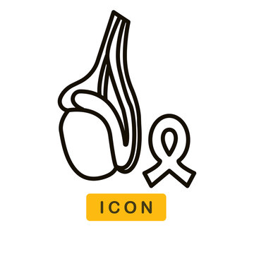 Testicle vector icon