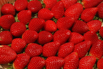 strawberry