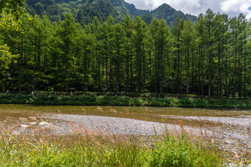 River and Summer Forest Landscape,Pathway at Kamikochi in Japan