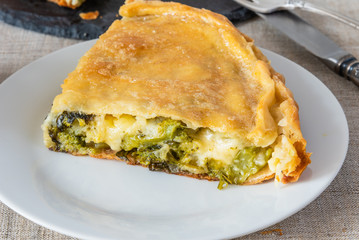 Piece of fresh pie with broccoli and cheese on a plate close-up - vegetarian cuisine.