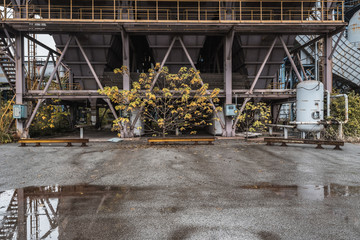 Industrial buildings in an abandoned factory