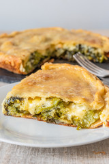 Piece of fresh pie with broccoli and cheese on a plate close-up - vegetarian cuisine.