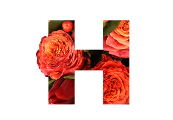 Floral font letter H from a real red-orange roses for bright design. Stylish font of flowers for conceptual ideas.