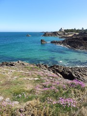 Côte rocheuse à Saint-Malo en Bretagne, bord de mer à Rothéneuf avec des fleurs de printemps (France)