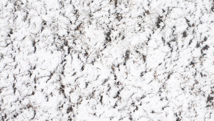 snow texture