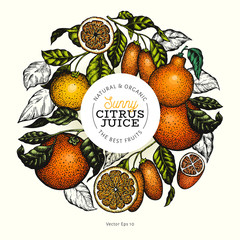Citrus fruits design templeae. Hand drawn vector colour fruit illustration. Engraved style banner. Vintage citrus frame.