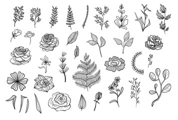 Floral collection of vector illustrations. Flowers, branches, leaves on white background