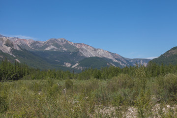 Nature, travel, recreation, river, mountains, wild animals, Russia