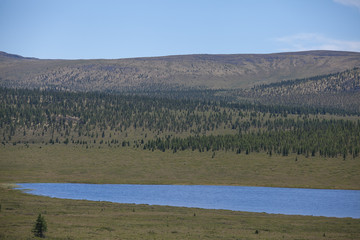 Nature, travel, recreation, river, mountains, wild animals, Russia