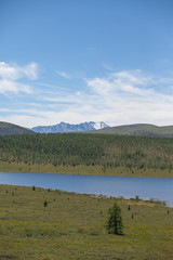 Nature, travel, recreation, river, mountains, wild animals, Russia