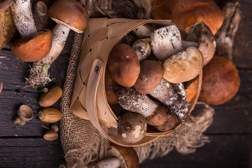 Ceps Mushroom Boletus over Wooden Background. Autumn Boletus edulis Mushrooms close up on wood rustic table. Cooking delicious organic mushroom. Gourmet food